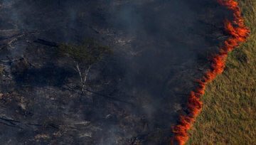 ikrabridgers's tweet photo. The largest forest providing about 20% of the world's oxygen is currently on fire and most people don’t know about it we need to talk about this not sony and disney disagreements including me our earth is literally dying #PrayforAmazonia https://t.co/ff8b00K4xS