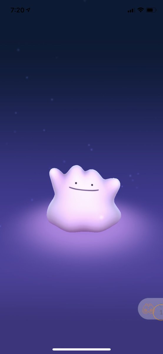 YOOOO I FINALLY GOT MY DITTO ON POKÉMON GO. THIS LITTLE BUTT HAD ME GOING TO POKESTOPS AND SOCIAL PLACES NON STOP THIS WEEK ONLY TO BE FOUND 2 MINUTES AFTER GETTING HOME AND LAYING ON MY COUCH 
trainer code // 702869518418 add me for gifts and what not 🖤
