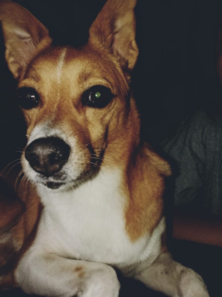 Sanchez_Viollet's tweet photo. #mibebe https://t.co/MvuBXQArJk