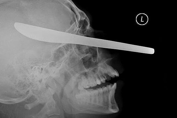 Dr. Golf Shirt tweet media