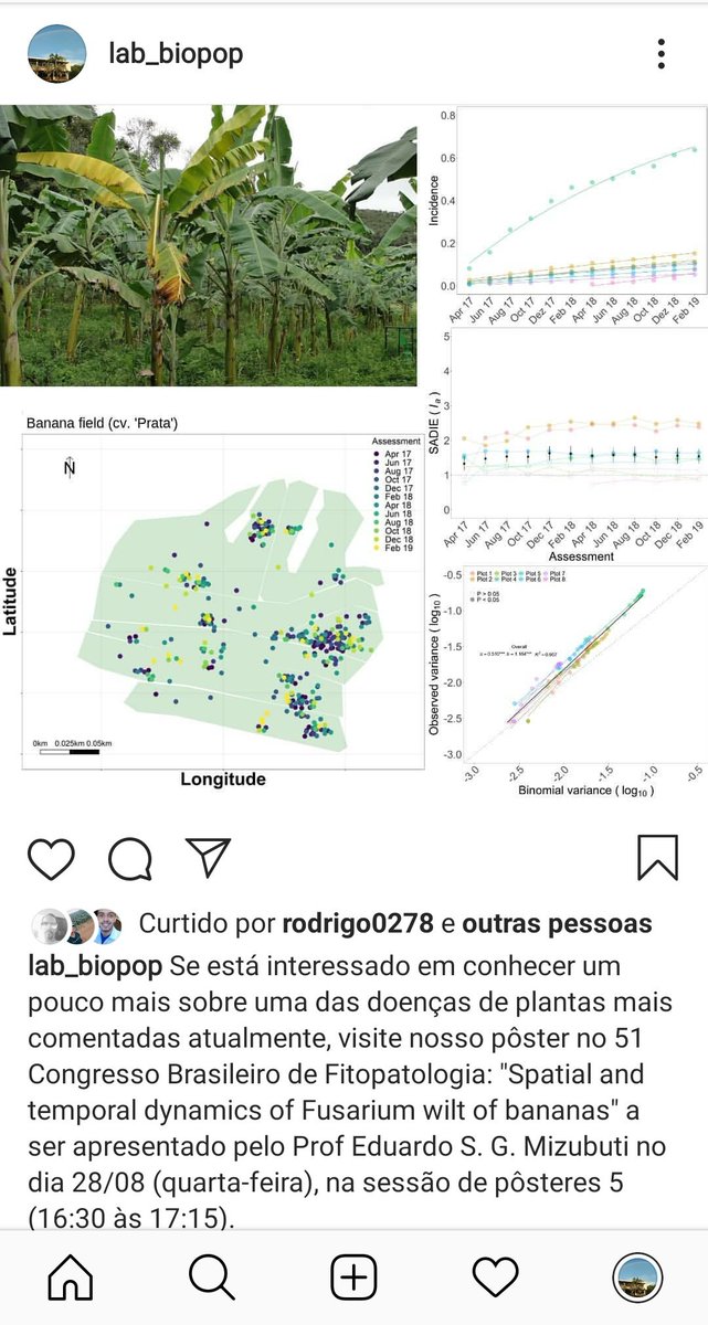 This epidemiological study of #Fusariumwilt of #banana is one of very few available up to date. The work done by <a href="/danwheck/">Daniel Winter Heck</a> in collaboration with <a href="/DitaMiguel/">Miguel Dita</a> and <a href="/edelponte/">Emerson Del Ponte</a> may be useful for devising mitigation actions for #tr4. See poster @ #51cbfito #Fusariumoxysporumcubense
