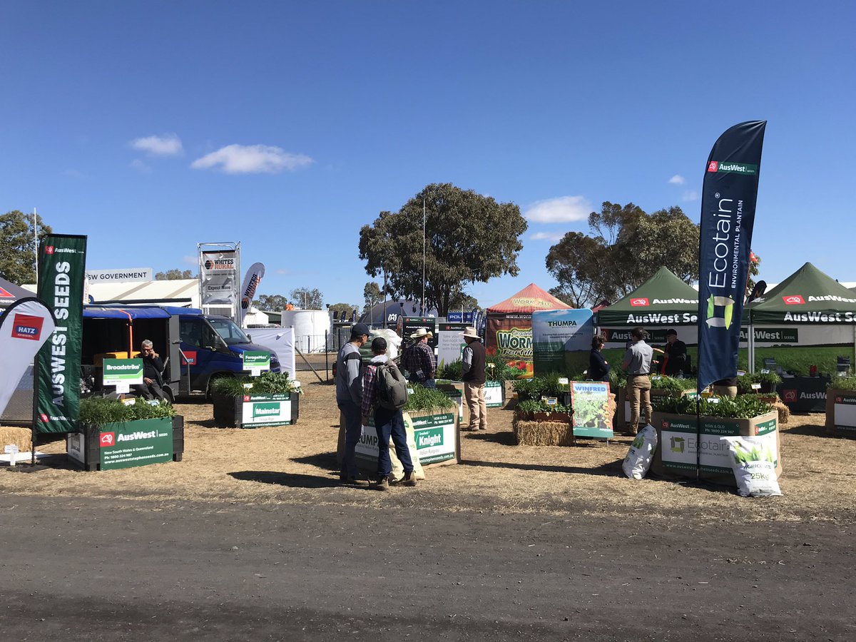JonDadd_Ag's tweet photo. Plenty of pasture and fodder species to inspect at @Auswest seeds. Checkout the new DS Bennett winter wheat demo treated with #trezac herbicide. Come and talk to Aaron, Kate and Paul. @TWP_Aaron @CortevaAU https://t.co/ItCKdKfEyV