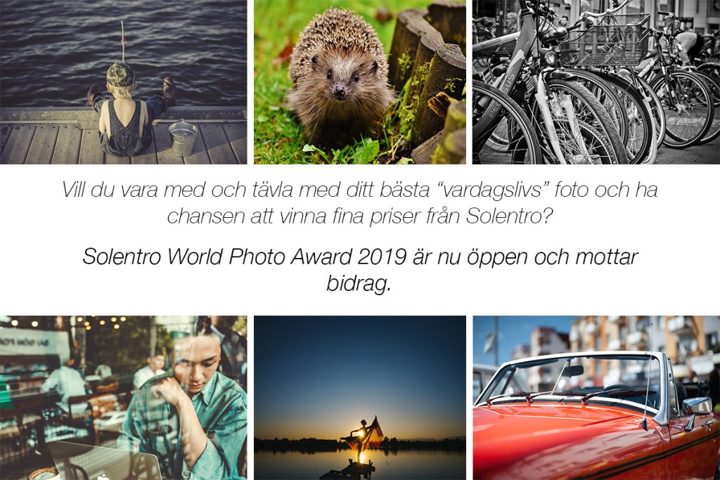 Solentro's tweet photo. Solentro World Photography Award 2019 https://t.co/k38oSEusnN https://t.co/FMCbev9ZF5