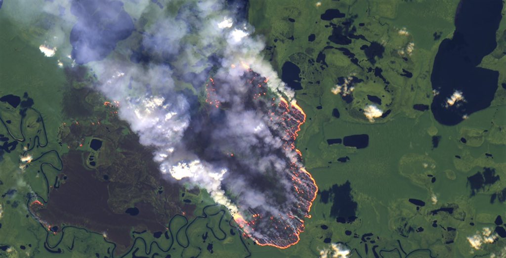 prolyjeonjk's tweet photo. ARMYs ! Let's help B-ARMYs to trend  #ARMYHelpThePlanet and raise awareness about global warming 🙏🏼 Amazon forest has suffered from a terrible fire and it have been burning non stop for more than 15 days 🙏🏼 https://t.co/SkVIhGxS36