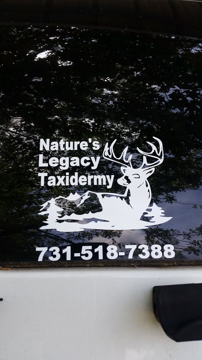 NatureLegacy's tweet photo. Tennessee Velvet Hunt Special!  

$100 pedestals (regular $200).  This weekend only!  Velvet deer mount $495

Velvet Euro Mount $175, quick turn around! 

731-518-7388 (Tim) https://t.co/pzzO7RoJuz