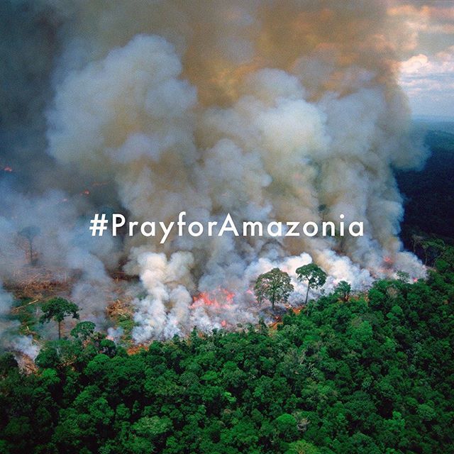 West_Path's tweet photo. The Amazon was once considered fireproof, but as the climate changes and deforestation continues, wildfires are increasing in frequency and intensity. It has now been burning for 3 weeks and hardly been spoken about. HELP RAISE AWARENESS! #prayforamazoni… https://t.co/fgdjwRMIkh https://t.co/XV4kdDLLu2