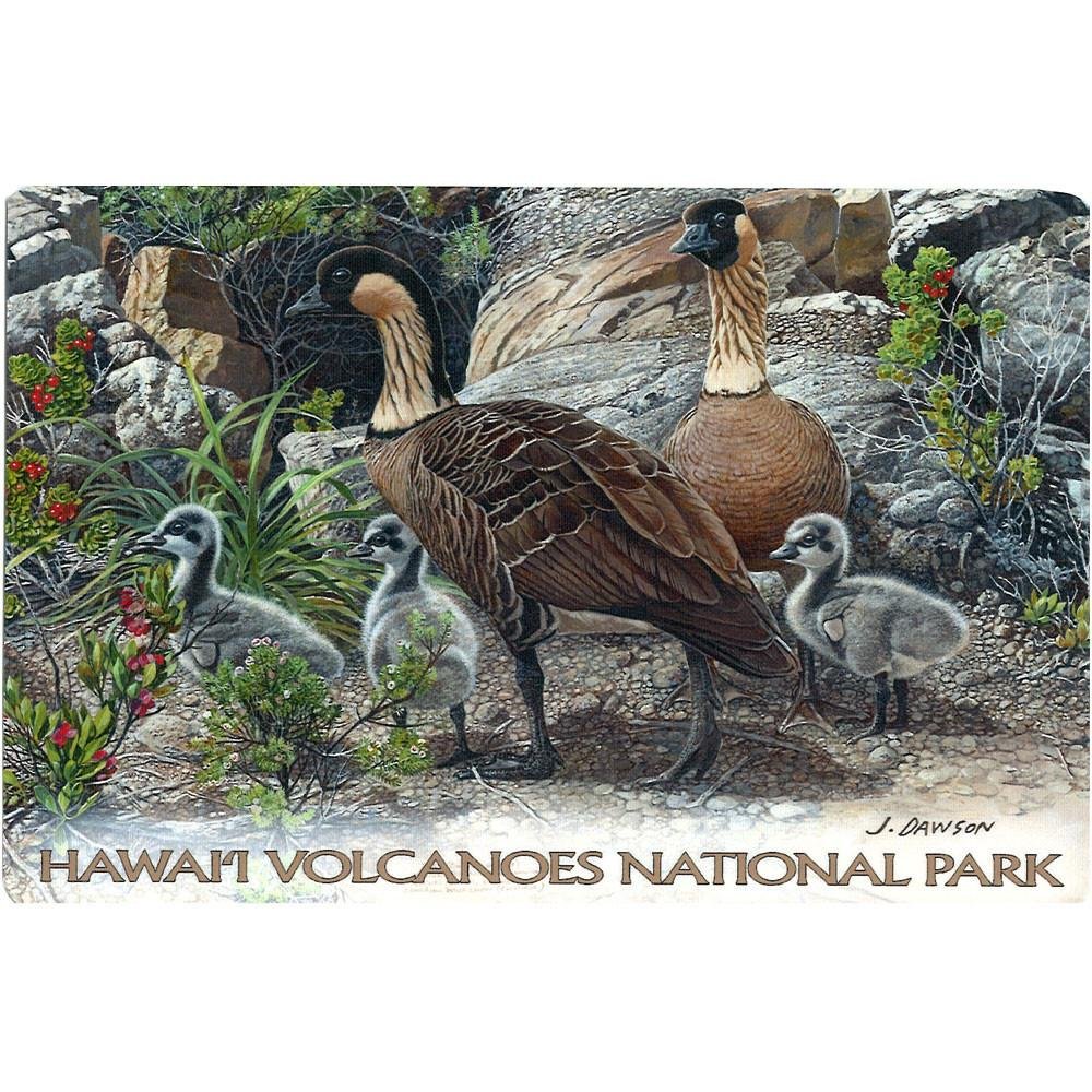 HIPacParks's tweet photo. Hey hey, oh #nēnē goose fans! #StickOn
The nēnē's endemic to Hawaiʻi, exclusively wild in the Hawaiian Islands. Dawson's produced stamp sets for the U.S.P.S. Art stick-ons are re-positionable. 4" x 6" #sticker #stickon #HawaiianGoose #HVNP #shopyourparks https://t.co/lI6qhzeILW https://t.co/SiOliDrjDZ