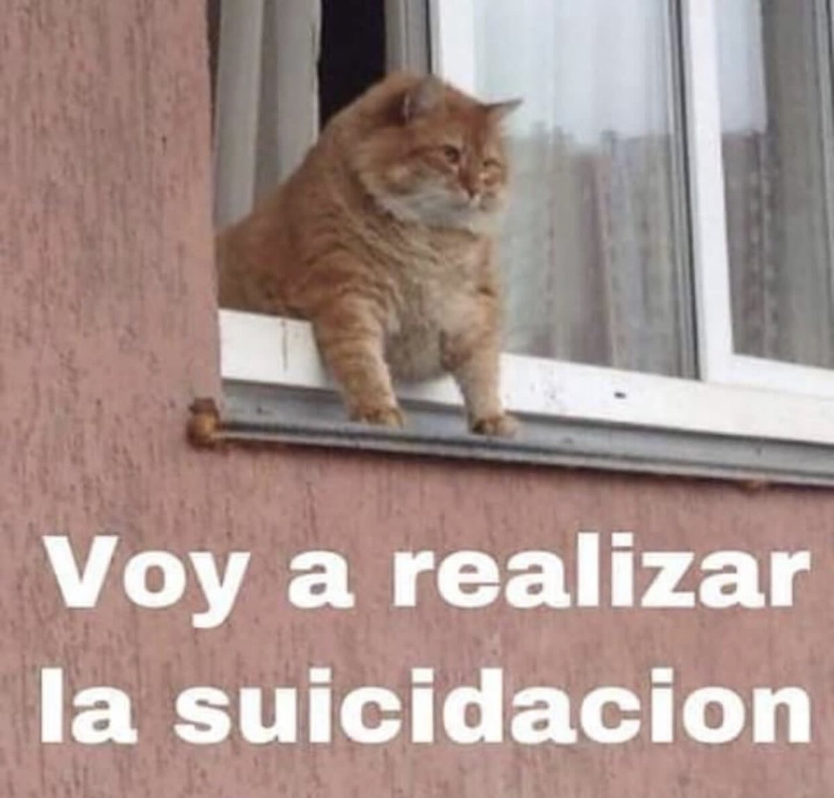 agusar08's tweet photo. Así estoy con la noticia de Spiderman fuera del MCU. Espero que lleguen a un arreglo o tendré que matar a todos. https://t.co/pUgVAwIIL3