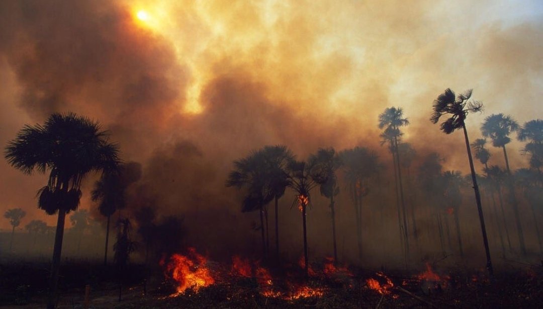yoonspero's tweet photo. El amazonas lleva incendiado hace más de 16 días, el gobierno de Brasil no hace nada por acabar con estos incendios, debemos de hacer todo lo posible para que acabe esto y la vida natural no muera y siga. 
Verán las siguientes imágenes por favor ayuden.. 

#ARMYHelpThePlanet https://t.co/prz2KmtbHC