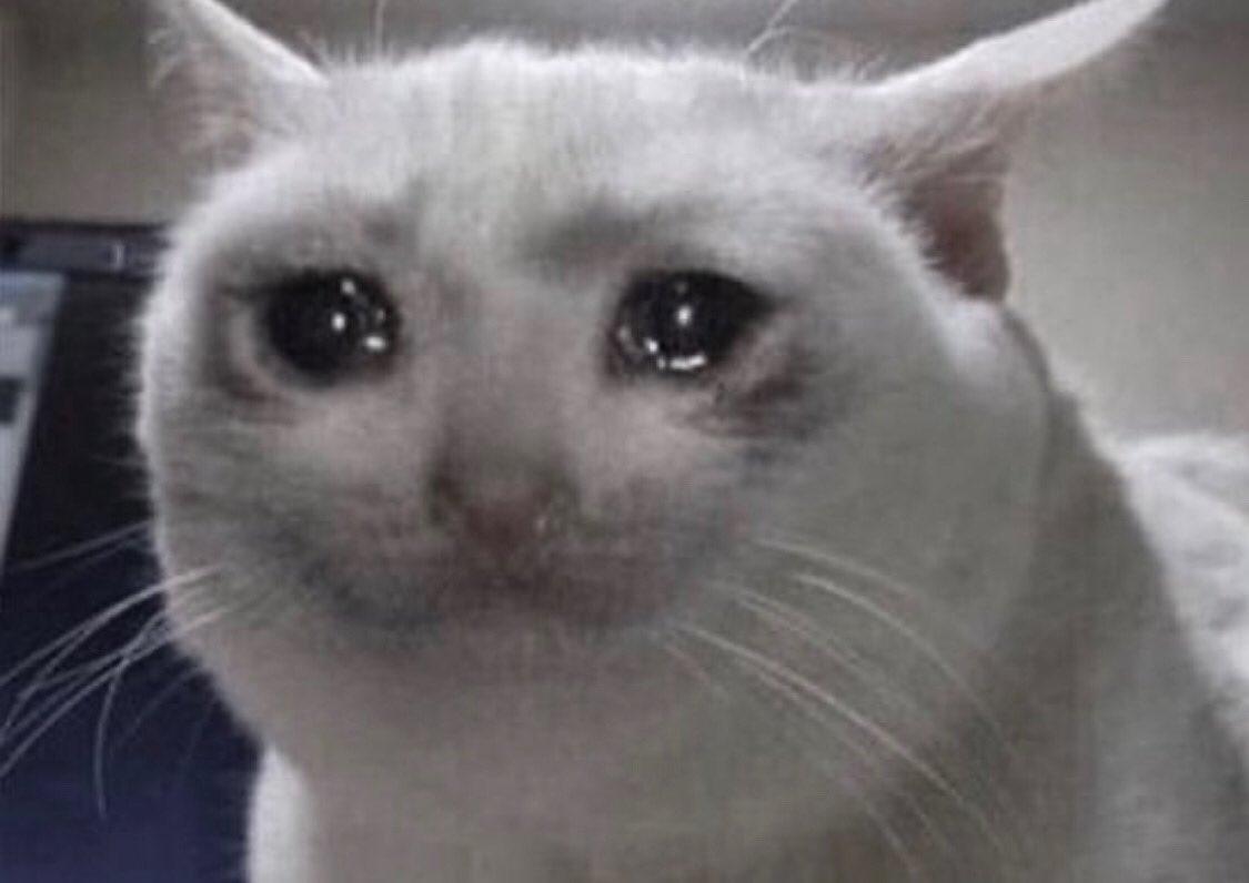 starvalkyries's tweet photo. if there’s no more spider-man in the mcu then we literally won’t ever know what happened to peter parker after far from home, we won’t get to see gwen stacy or miles morales possibly introduced and i- they fucked us over https://t.co/b24q6rx8zg