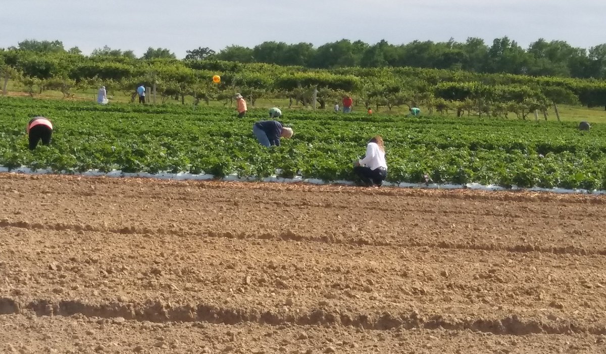 eahlovesu13's tweet photo. ~You are in charge of the garden you grow. You make the choice of the seeds that you sow. Will you pick flowers? Will you pick weeds? Or will you produce something, that your world needs? #LessonsILearned https://t.co/8O3gkPCguE