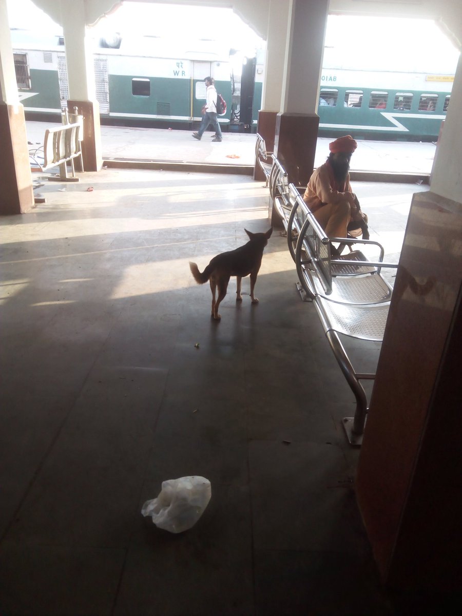 Harshso24576563's tweet photo. @PiyushGoyal  dear sir this is wankaner junction(WKR)  Railway station in Guj. Nearst of tile city MORBI. 
MORBI Jane wale ko yha se train change krna he hota h...
But this is very dirty and bad station . And waiting room and thair toilet very dirty..plz take action immediately https://t.co/hEAOBVjRDt