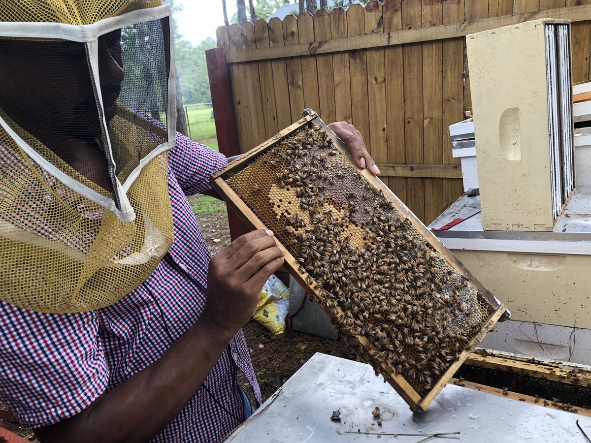 ...doing a little high-frame-rate    videography today