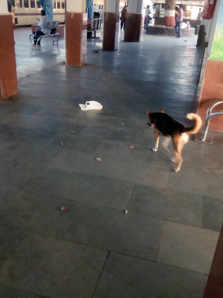 Harshso24576563's tweet photo. @PiyushGoyal @PemaKhanduBJP @PiyushGoyal  dear sir this is wankaner junction(WKR)  Railway station in Guj. Nearst of tile city MORBI. 
MORBI Jane wale ko yha se train change krna he hota h...
But this is very dirty and bad station . And waiting room and thair toilet very dirty..plz take action immediately https://t.co/9nHZVufkdD
