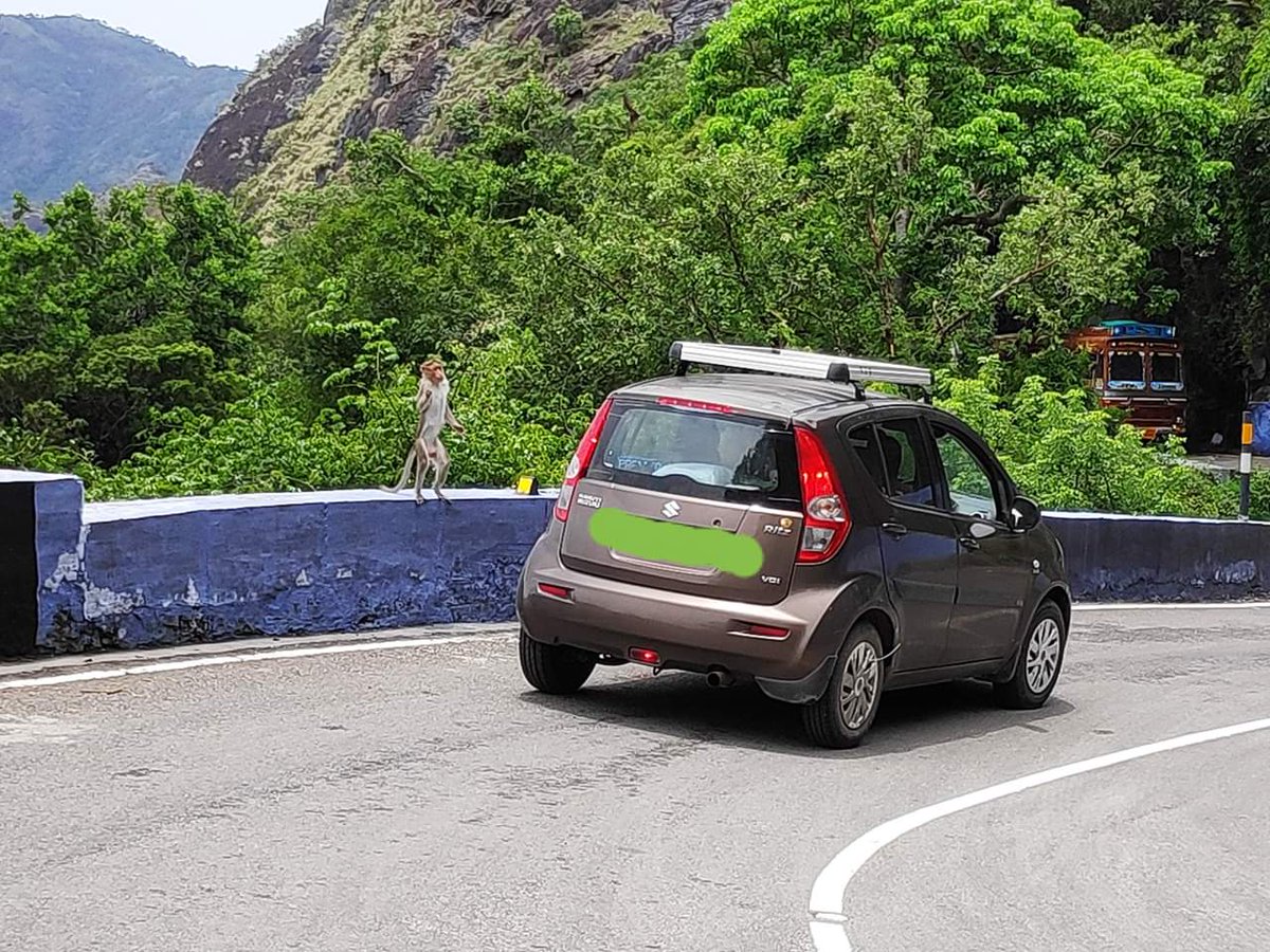 Zer0Target's tweet image. உணவுக்காக கையேந்தி நிற்கும் நிலைக்கு தள்ளிய ஒவ்வொருவனும் கொடும் குற்றம் செய்தவனுக்கு ஒப்பானவன்.... 😡😡😡😡😢😢😢😢😢....  
தேடி உணவை உட்கொண்டு வந்த ஒரு விலங்கு இன்று தன்னிலை மறந்து யாசகம் கேட்கும் நிலைமைக்கு கொண்டு வந்த நாம் நிச்சயம் பதில் சொல்லியே தீரணும்....

😢😢😢😡😡😡