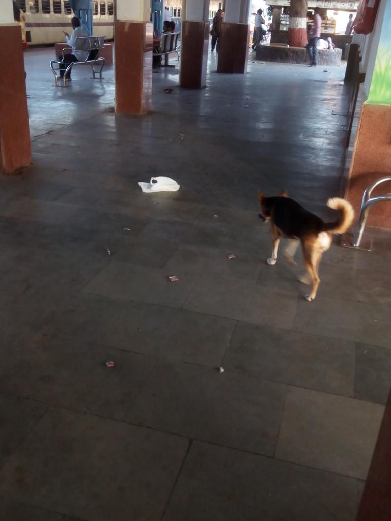 Harshso24576563's tweet photo. @PiyushGoyal @PemaKhanduBJP @PiyushGoyal  dear sir this is wankaner junction(WKR)  Railway station in Guj. Nearst of tile city MORBI. 
MORBI Jane wale ko yha se train change krna he hota h...
But this is very dirty and bad station . And waiting room and thair toilet very dirty..plz take action immediately https://t.co/9nHZVufkdD