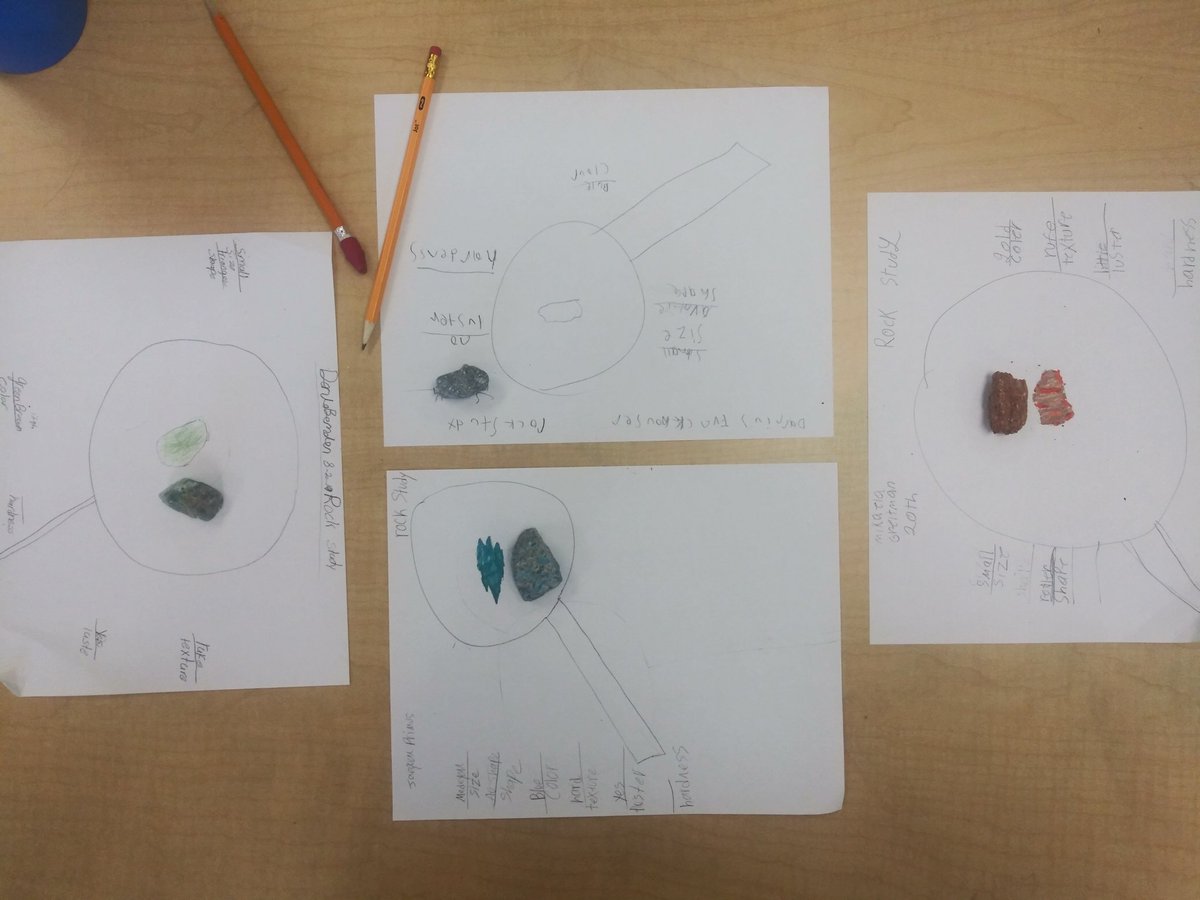 ms_c_wilkins's tweet photo. Students participated in a study and discovered Third Grade Rocks! #rockstudy #ScienceMatters #RPES_Cougars #ncssbethebest https://t.co/TdYa7Cs9Ht