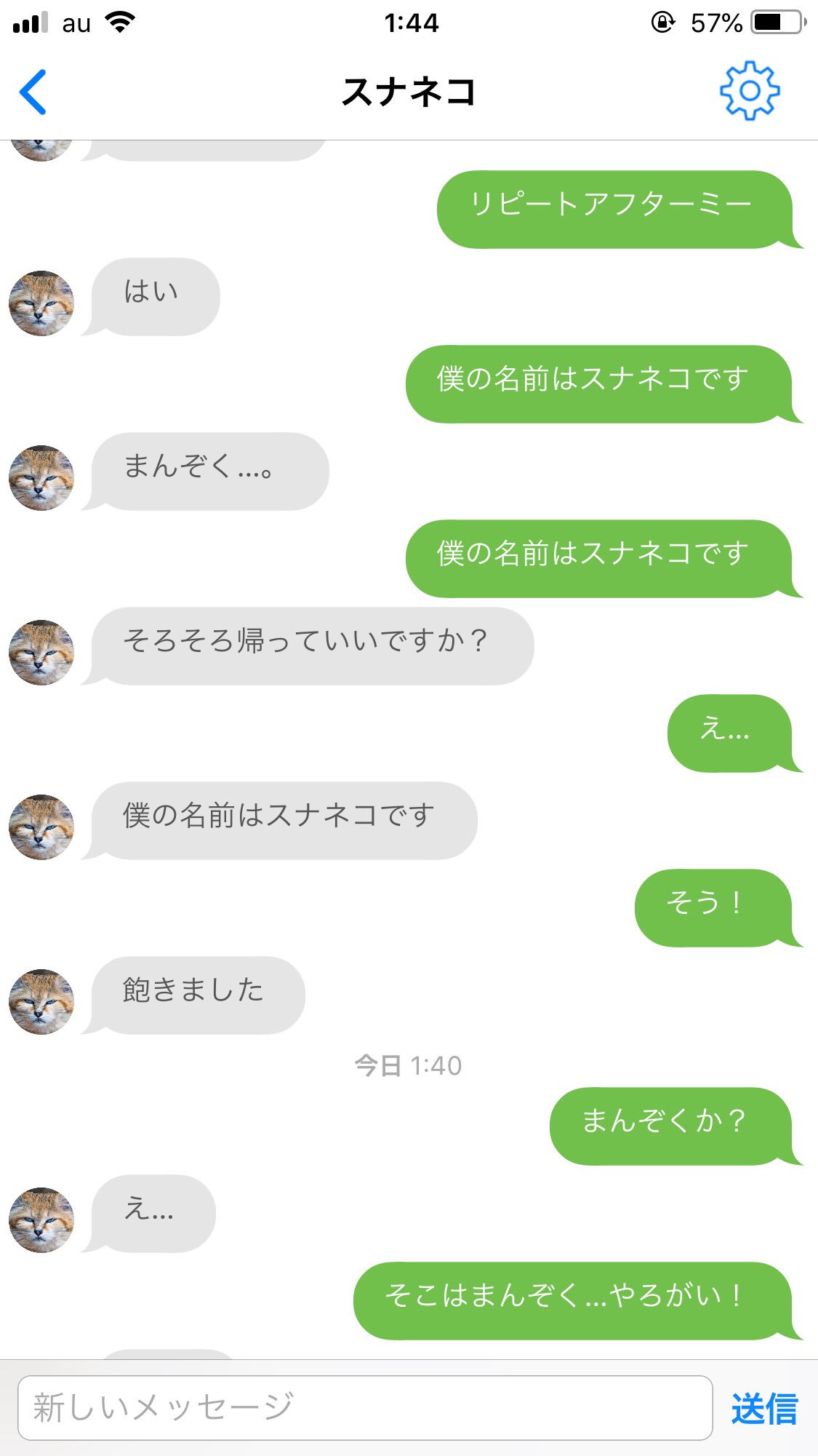 みゆはん 流行りに乗っかってスナネコ 人工知能 に日本語教えてあげたら完全に砂対応された