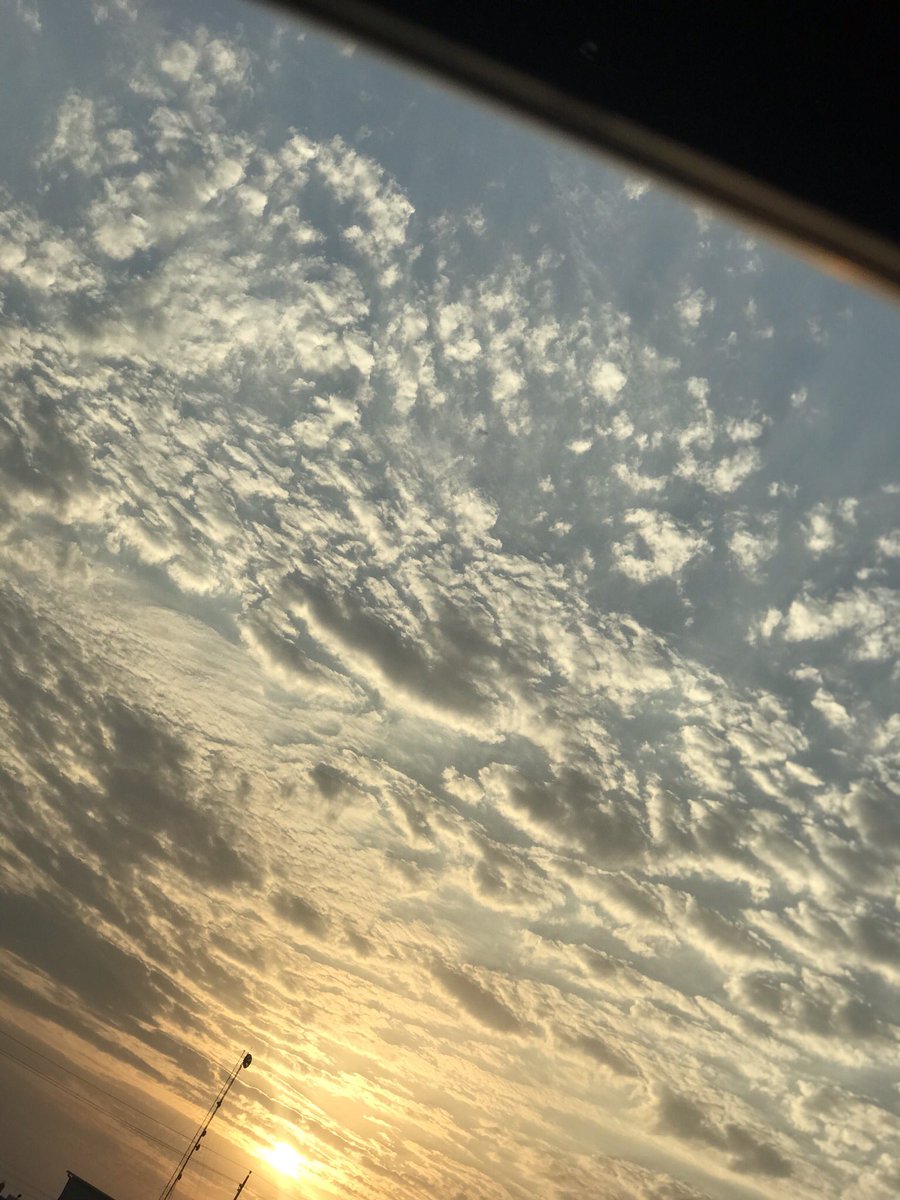 7ziq4's tweet photo. @rasha_rwx https://t.co/u14J3LrjEm