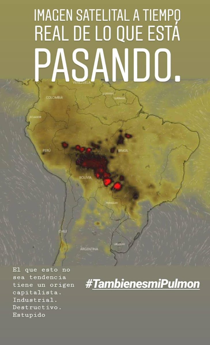 DaniSostenible's tweet photo. Me emputa que se queme el Amazonas en plena emergencia climática y no haya voluntad política para salvarlo.
#TambiénEsMiPulmón
#AmazonasSOS https://t.co/ldpfxDXzPS