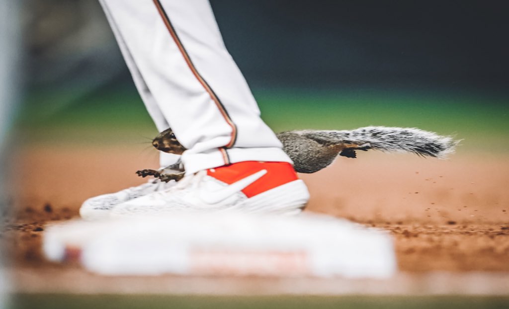 TwinsPics's tweet photo. Right through the five-hole. #MNTwins https://t.co/qd4Q3RKigM