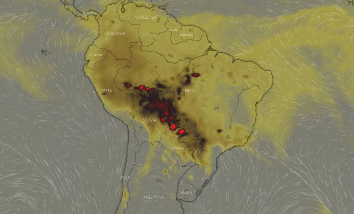 eluniversocom's tweet photo. #Incendios en #Amazonía de #Brasil superan los 70.000 y oscurecen ciudades cercanas a plena tarde. ► https://t.co/PeW7ZAKSmB https://t.co/26JiFBbkos