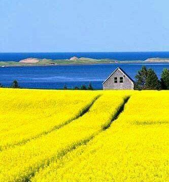 MarionSpekker's tweet photo. Good morning : ))
Twitterworld ✨💛✨ https://t.co/T2BzfFAkAC