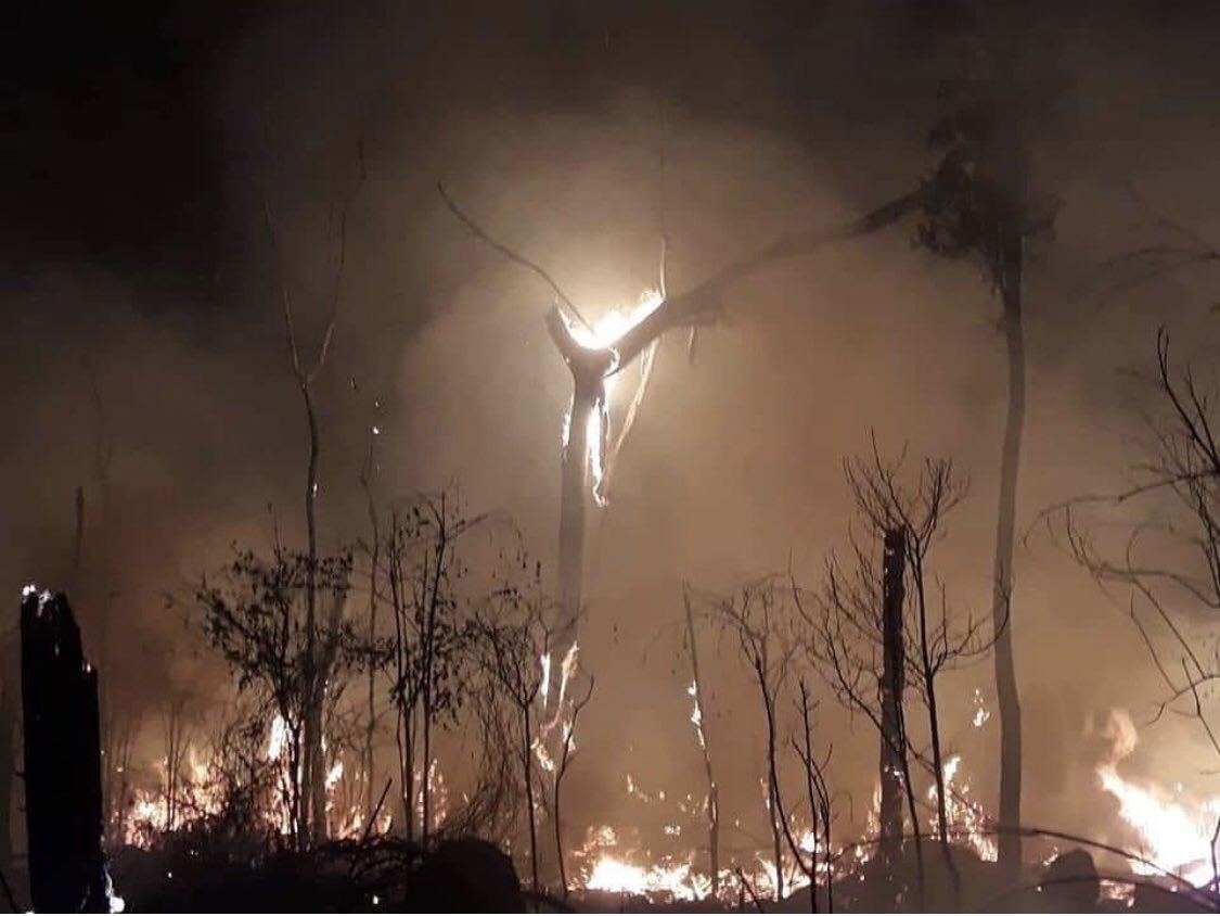 youcantmakeme_'s tweet photo. The Amazon rainforest has been burning for 17 days now. The largest rainforest in the world is dying, tons of animals burned alive. The stupid being we have for a president says nothing is happening. The media is not covering this! I'm heartbroken #PrayForTheAmazon https://t.co/GsOz8Aptpa