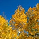 Photo by Winter Park Colorado (@PlayWinterPark)
