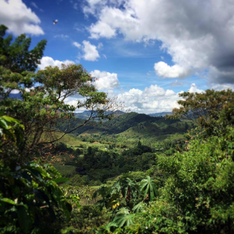 dickinsonbeth's tweet photo. Personal news thread! After 8 years in the Gulf, it’s time for our next adventure: heading to Bogota, Colombia to take on my equivalent position w @CrisisGroup. I’m honored &amp; grateful for the chance to work in a country I'm deeply invested in and whose future is profoundly bright https://t.co/1JEuSkyswO