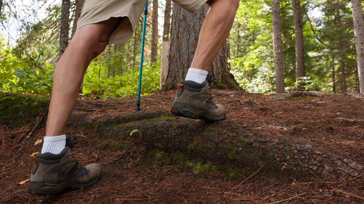 OntarioParks's tweet photo. Invasive species can easily travel through your gear and #hiking boots as well. Clean dirt and debris off your gear and brush off your hiking boots. #InvasionON https://t.co/eJgI24QrOd