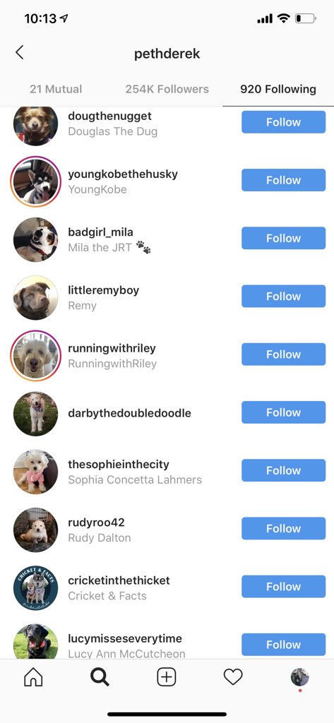cccqueen's tweet photo. can we talk about how Derek recently  followed 20+ dog accounts in a row? this is the kind of bachelor energy we need in our lives, and also someone plz check on him #BachelorInParadise https://t.co/lfJQQMSqyP