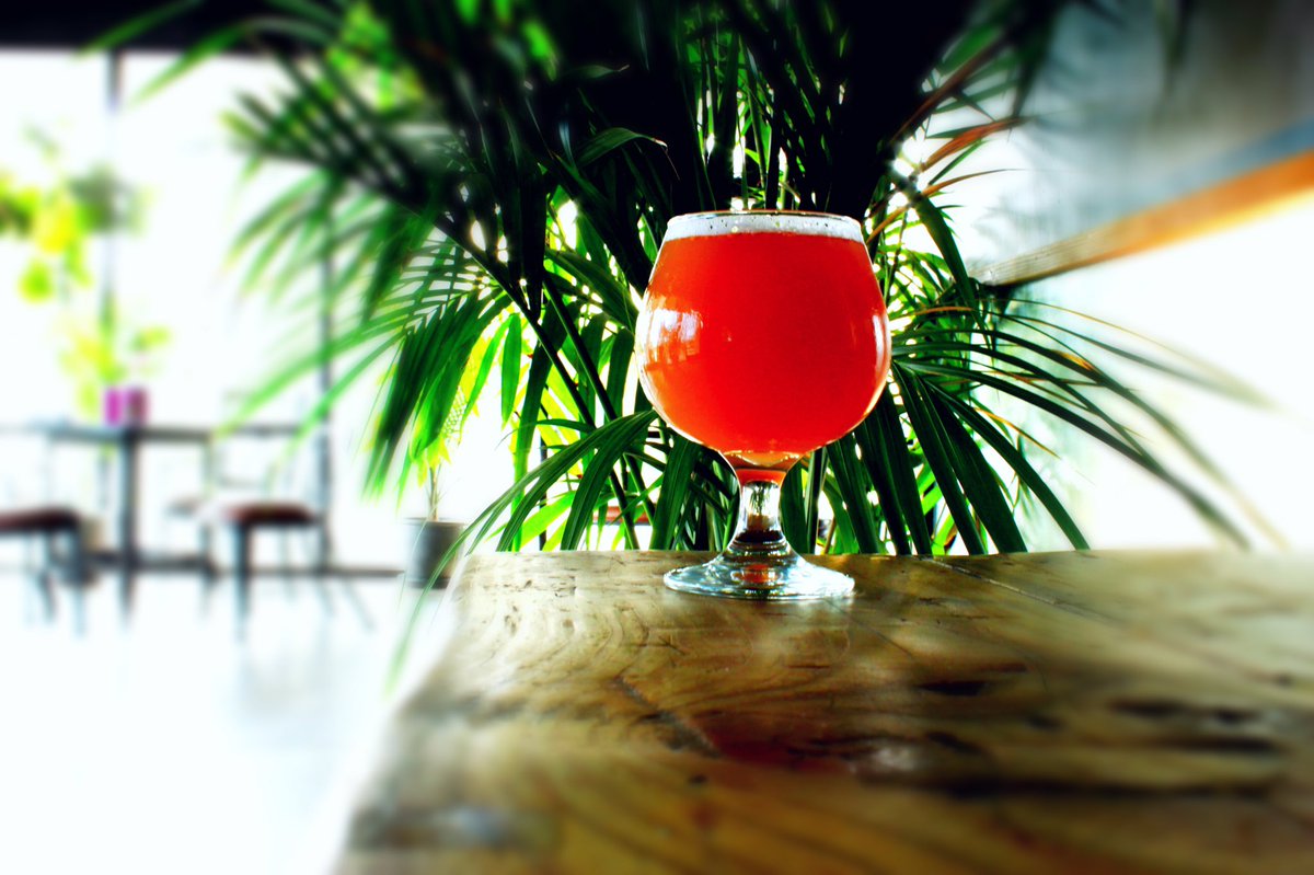 cjbrewing's tweet photo. Available right now and maybe not tomorrow, Strawberry Alarm Clock, Milkshake IPA. We did a quick small batch due the demand, try it now and quit missing out on life. 
.
. #pleasetryourlagers
.
#milkshake #hazyipa #ipa #strawberries #beerstagram #instabeer https://t.co/aZmK6vn3ZD