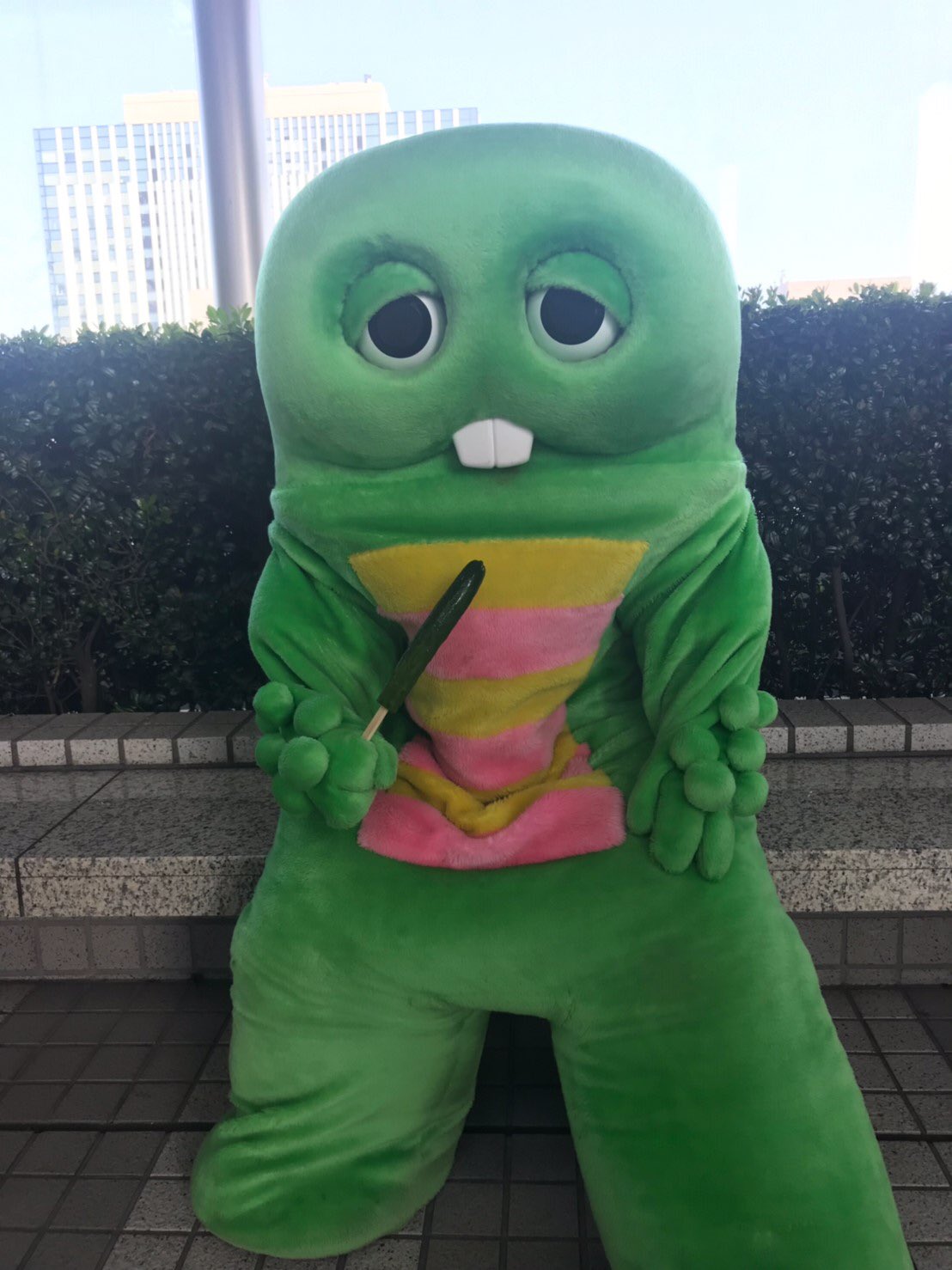 ムック【Mukku】🪺 on X: 