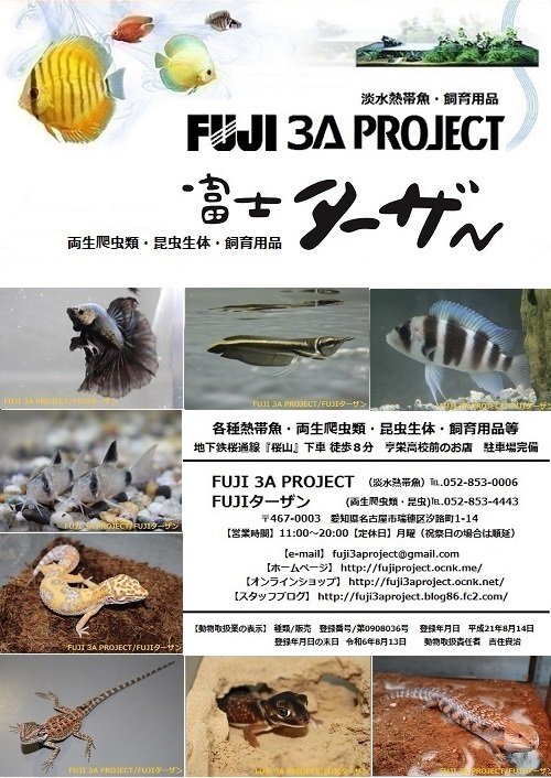 Fuji3aproject Tarzan エムピージェー レオパードゲッコーモルフ大全再入荷 その他用品 各種熱帯魚も入荷しています T Co Vae93gdxwj 本日もよろしくお願いしますｍ ｍ