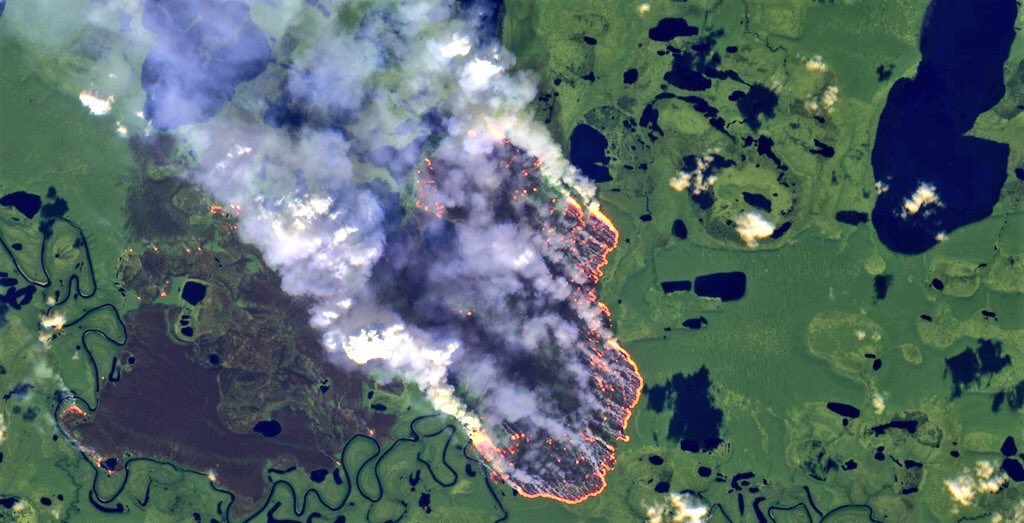 Shared_Studios tweet media