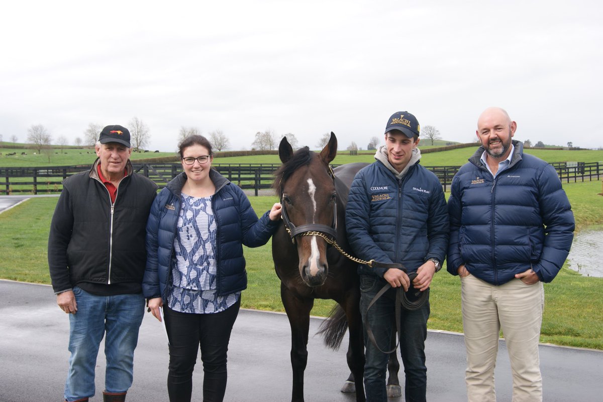 TeRapaRacing's tweet photo. Thanks to @ValachiDowns for welcoming us to the farm today to meet U S Navy Flag. A striking individual with an incredible nature. Take advantage of the @NZTBA1 @gavelhouse Open Day this Saturday to see him in the flesh yourself - you won't be disappointed!
#TeRapaPartner https://t.co/ZryTVIMz6c