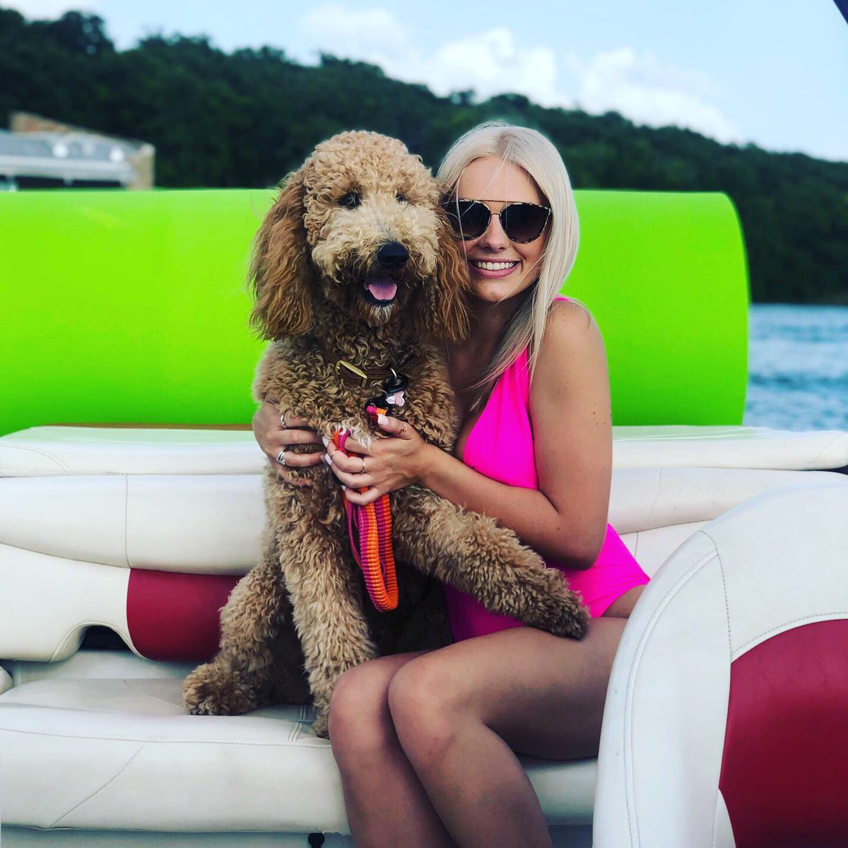 raiganmiller_'s tweet photo. ok.. now that i have cried for a month straight, i have to show!!!! WHAT did the groomer do to my poor baby??????????????????? 😭 https://t.co/a05zTsTdr3