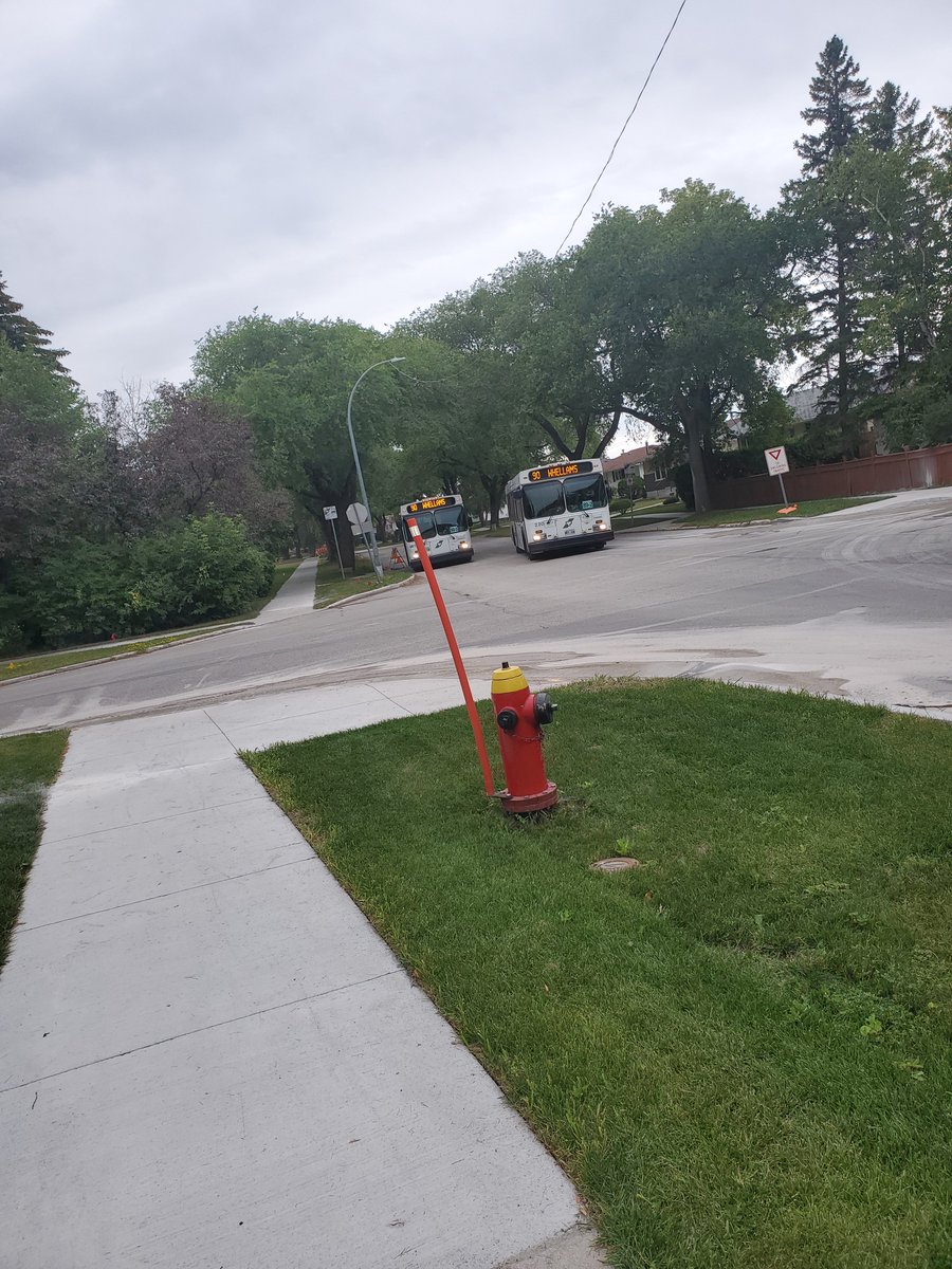 katie_moist's tweet photo. When @winnipegtransit is running high efficiency 🧐 https://t.co/mE98QWj9ys