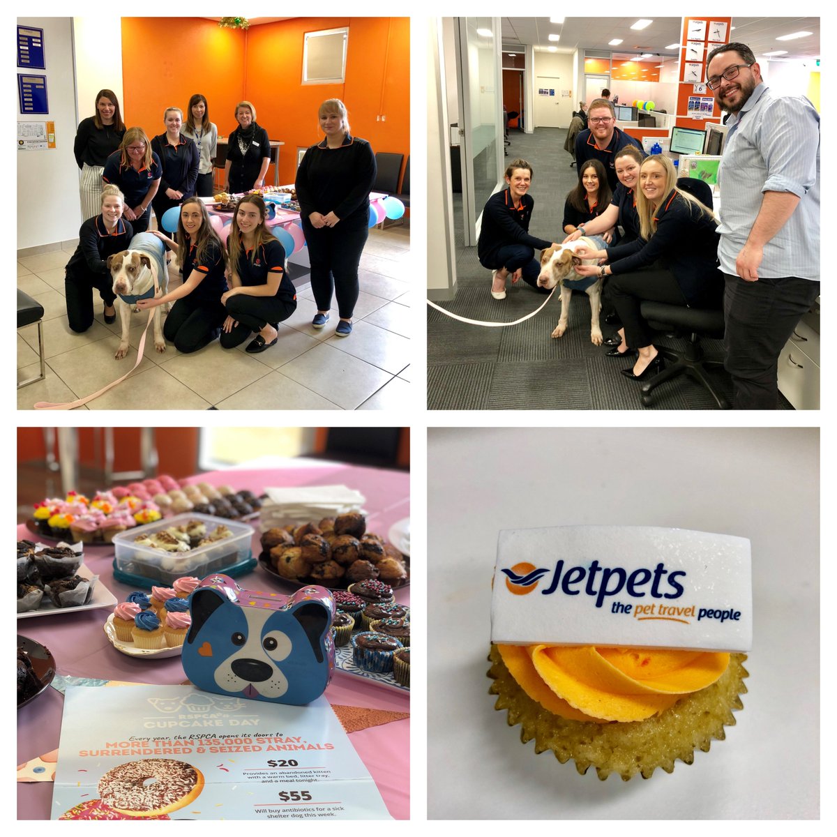 Jetpets tweet media