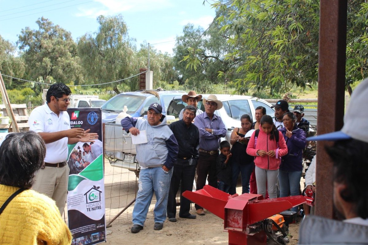 AgroindesC's tweet photo. La constante capacitación de las familias en los territorios de atención a través del programa #HidalgoTeNutre del @gobiernohidalgo de @omarfayad permite el fortalecimiento de los sistemas productivos #Zempoala  @SEDAGRO_HIDALGO @FAOMexico  @Car_Muniz @ecarizpe https://t.co/qqvrqF3tOr