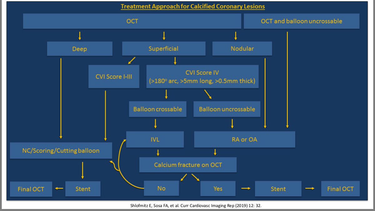 ESHLOF's tweet photo. @jedicath @ShockwaveIVL @jmahmed @mmamas1973 @DrJimSMaxwell @stent_dr Agree with the others, looks like a great case for @ShockwaveIVL #LesionPrep @FernanOCT @DrAllenJ @ziadalinyc https://t.co/Q8pgnaFU7k