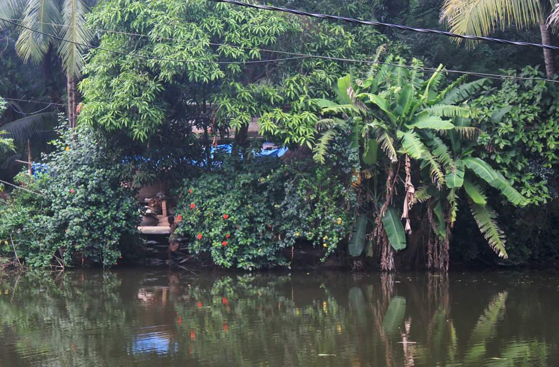 DiannaSahu's tweet photo. @VisitKendrapada This is my beautiful village, Khasadi in Kendrapara https://t.co/HnJKLlk2Ey