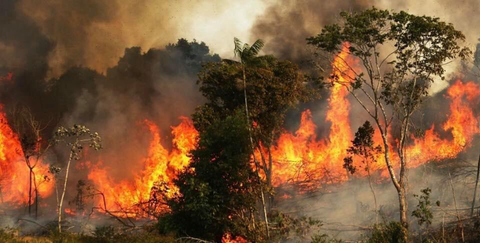 ConTravelAddict's tweet image. It was all over the media 😡 
#globalwarmingisreal #amazonforestfire #climatechange #prayforamazonia