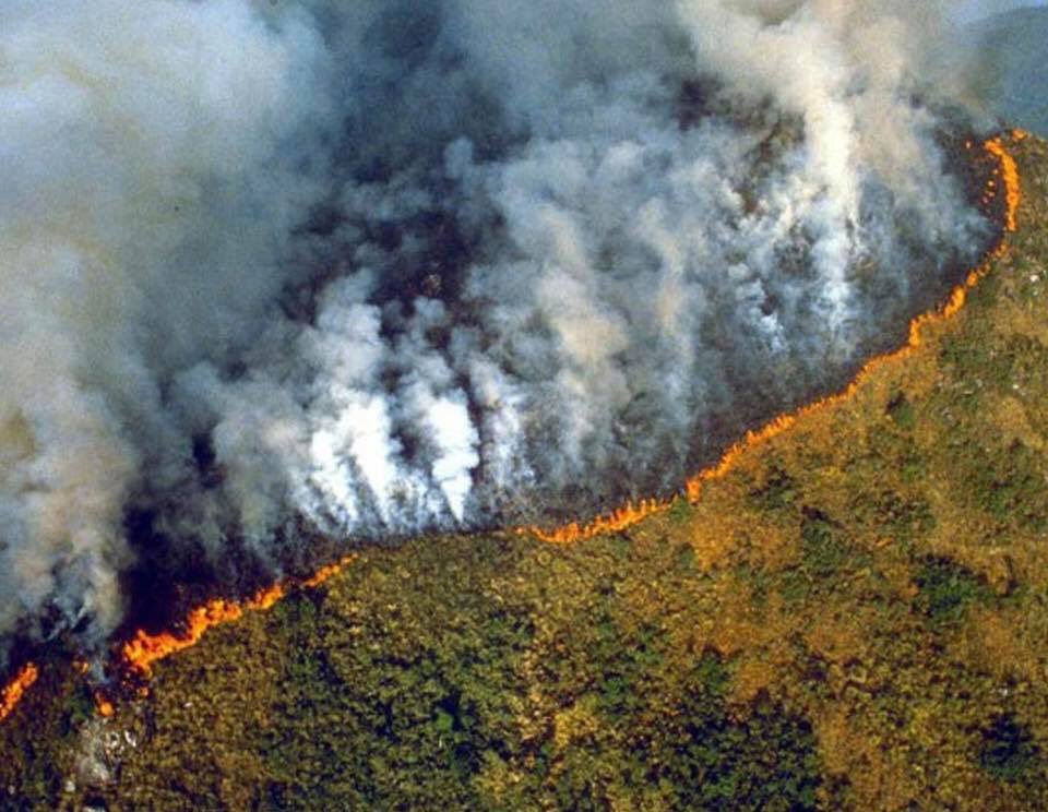 ConTravelAddict's tweet image. It was all over the media 😡 
#globalwarmingisreal #amazonforestfire #climatechange #prayforamazonia