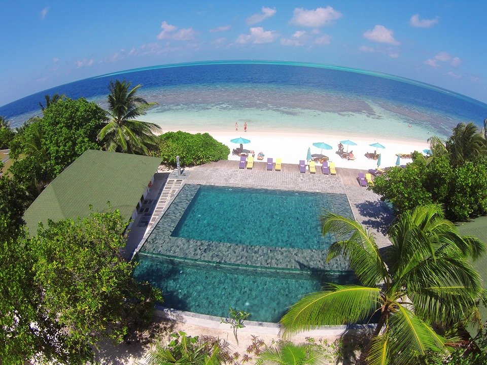Relax on the beach front pool or chill in the
bar with some indoor games, or take a dip in
the exotic 225m² pool overlooking the ocean! 
.
.
.
.
#OBLUHelengeli #Maldives #Housereef #Snorkel #Dive #Helengeli #Island #Tropical #poolday #beach