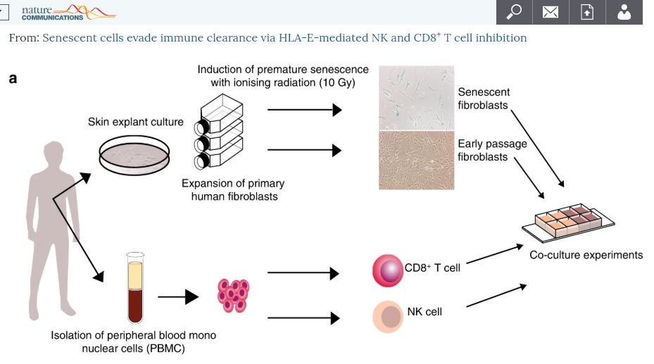 Nature Communications tweet media