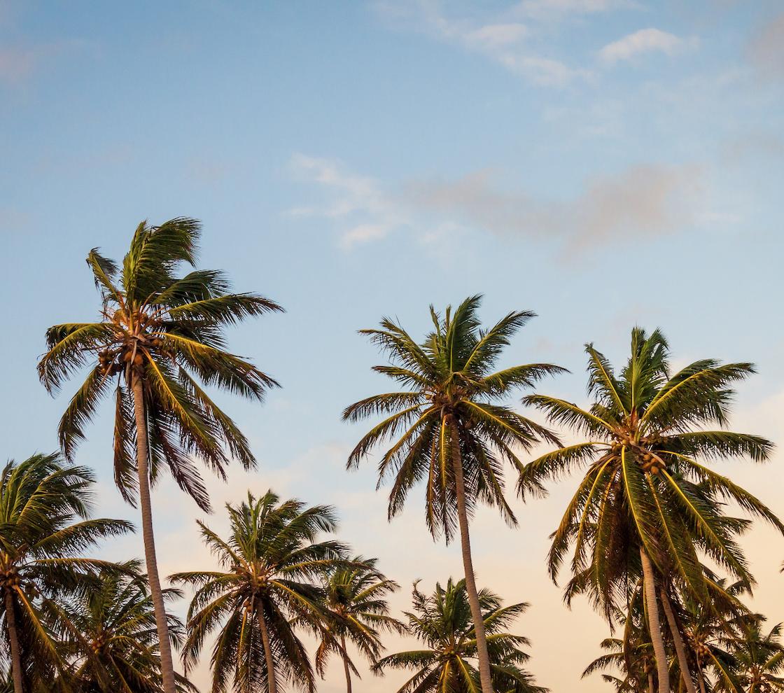 Soul Food: we bring you a piece of the heart and soul of the #Caribbean.