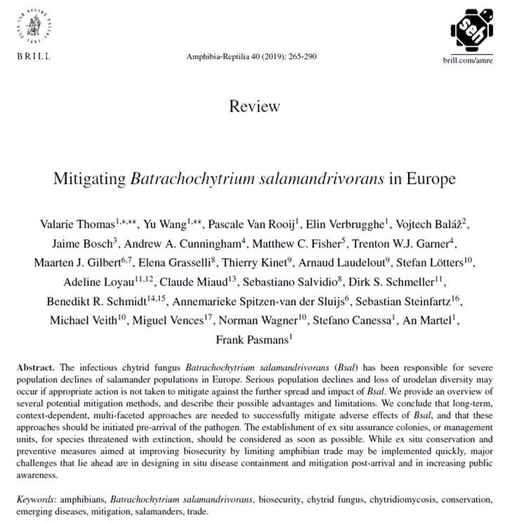 BsalEurope's tweet photo. An overview of several potential mitigation methods (their advantages and limitations) is recently published #Bsal #mitigation #chytrid https://t.co/zEe9qVPkLo https://t.co/BWYFCkSRbU