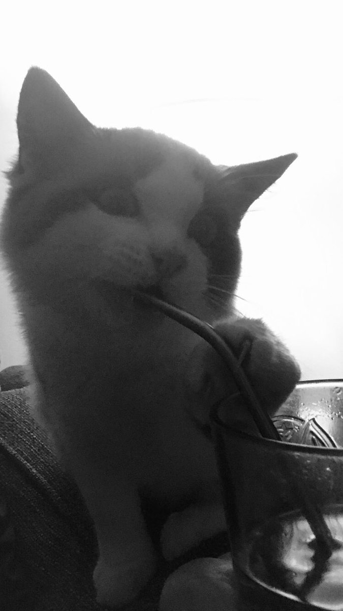 GeorgeColinRees's tweet photo. Having a little gin..... https://t.co/T0eJ80Lj52